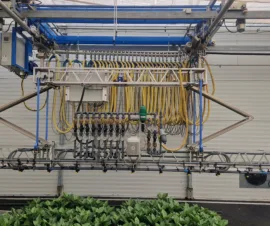 Het product Spuit- Gietboom van Foliekassen