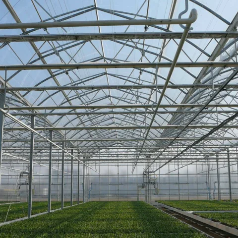AS VDH Roltafels 1