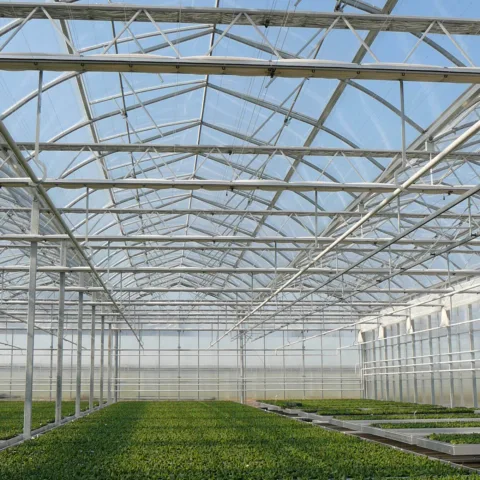 AS VDH Roltafels 2