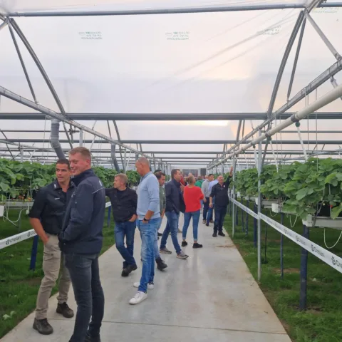 Agrow Ser Ventrio 11