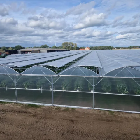 Agrow Ser Ventrio 12