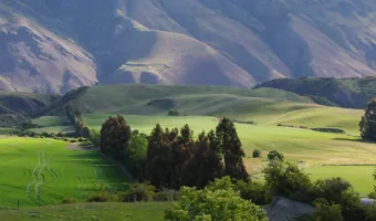 Bekijk deze foto van het product AgrowSer Ventrio Aardbeienoverkapping op Foliekassen