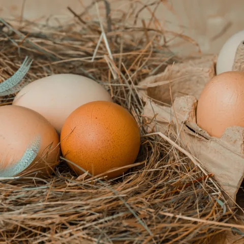 G3d40a8fa6bb396a43537538faee8fb8c7ec71aadb16dcbe1b7450dfead3db054ff877a181468c8063642f4bb5f0f9cb8