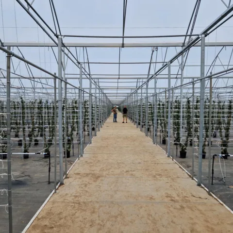 Van Zuilen Berry Brothers 3