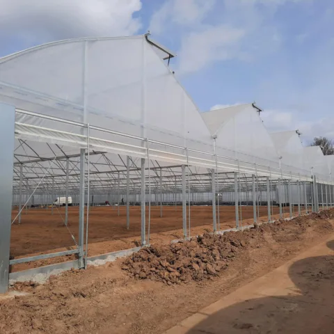 Van Zuilen Berry Brothers 2